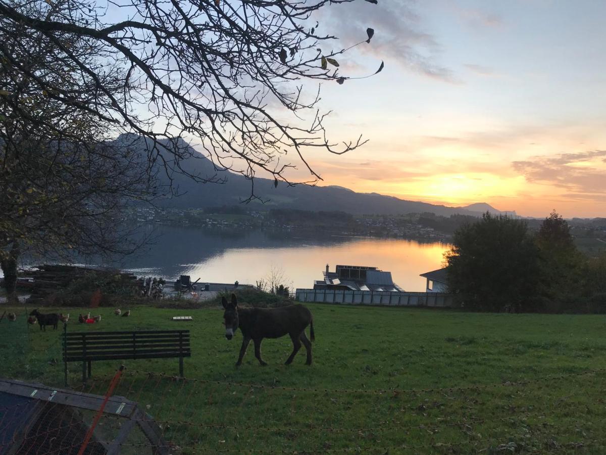 Ferienwohnung Lechnerhof Tiefgraben Esterno foto